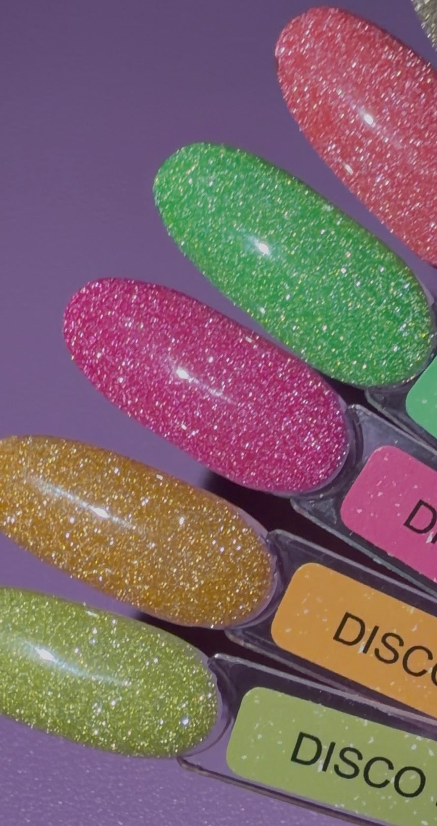 Disco Rubber Base Set of 5 Colors